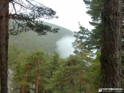 Hiking Calzada Romana de Cercedilla; san mames album de fotos laguna de peñalara monte abantos